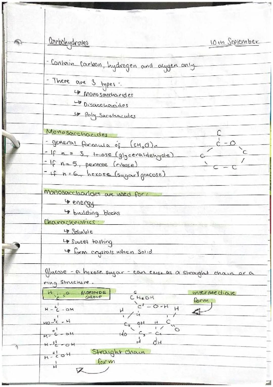 Carbohydrates and Polysaccharides: Fun Biology Notes for Kids!