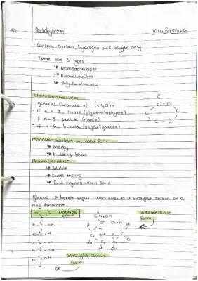 Know Carbohydrates thumbnail