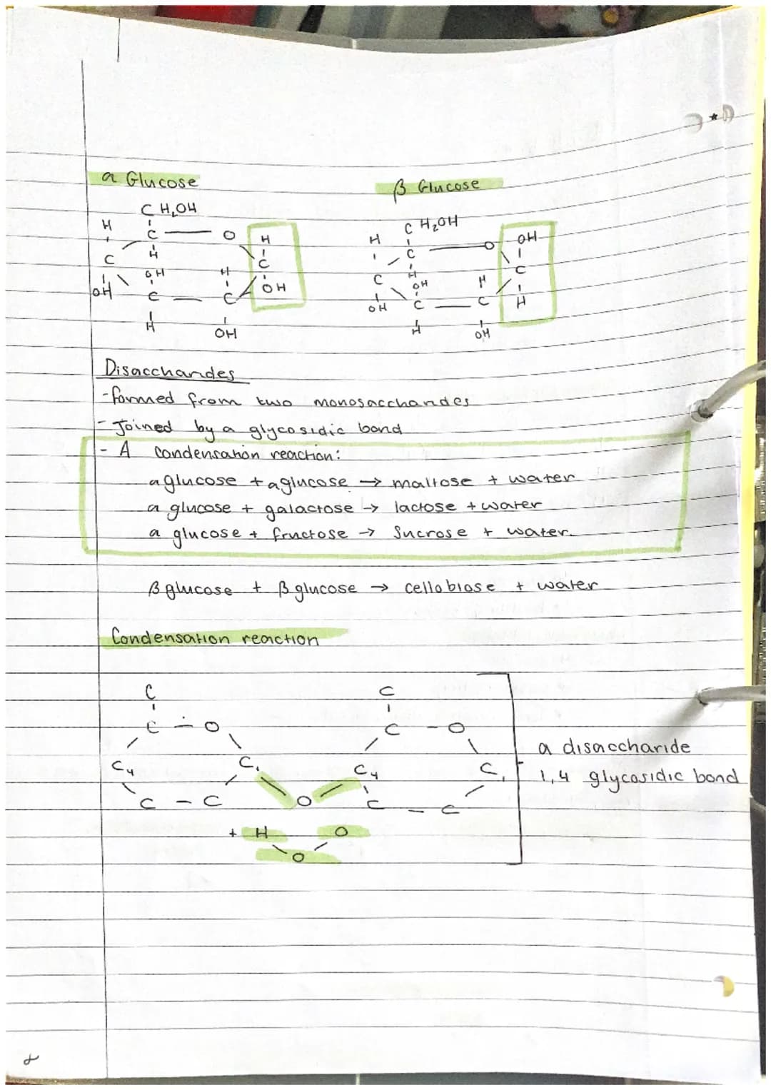 Carbohydrates
-Contain carbon, hydrogen and oxygen only
There are 3
Mono Saccharides.
- general formula of (CH₂0) n
- If n = 3₁ triose (glyc