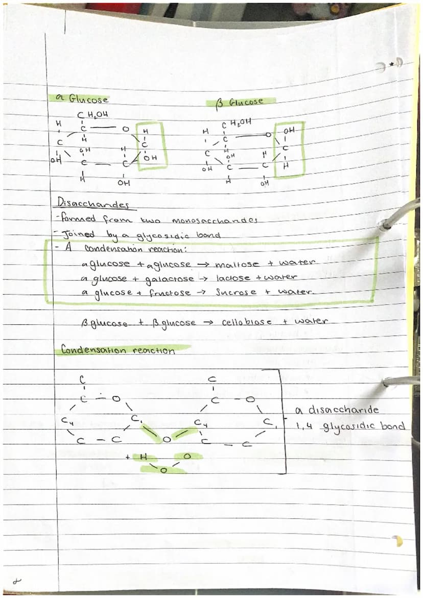 Carbohydrates
-Contain carbon, hydrogen and oxygen only
There are 3
Mono Saccharides.
- general formula of (CH₂0) n
- If n = 3₁ triose (glyc