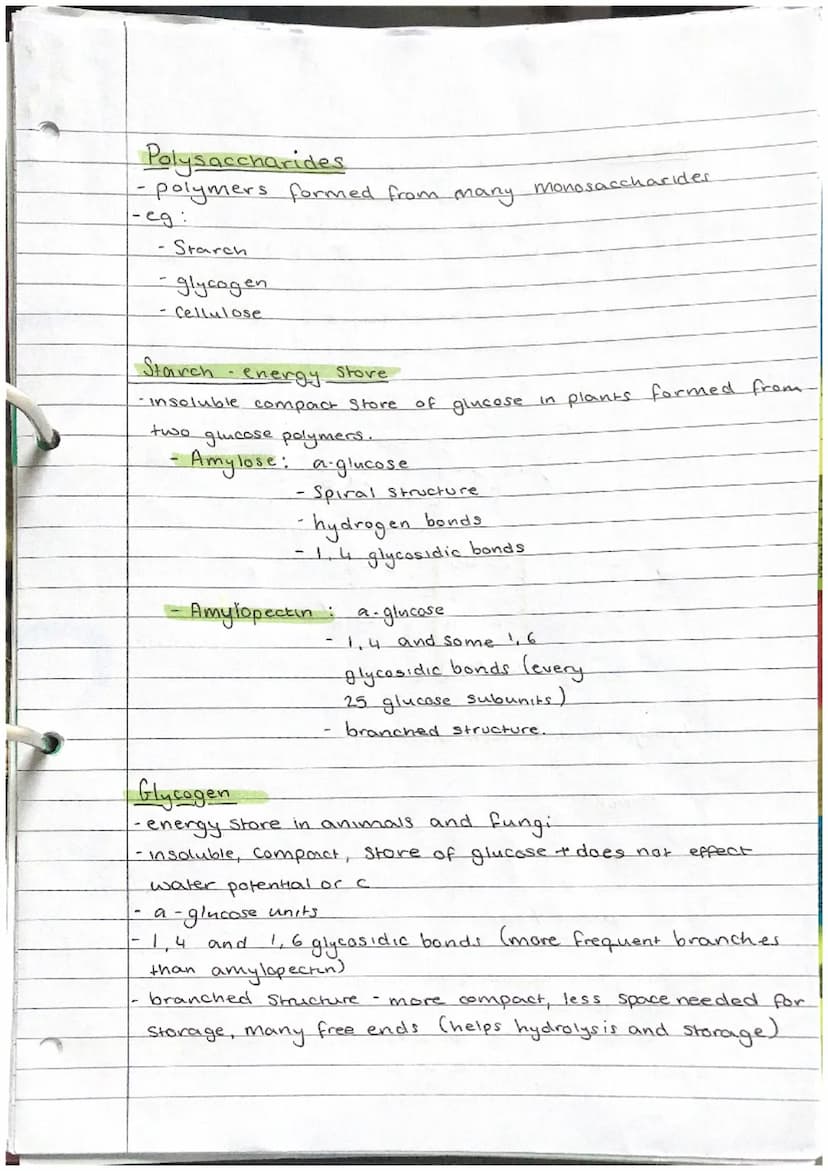 Carbohydrates
-Contain carbon, hydrogen and oxygen only
There are 3
Mono Saccharides.
- general formula of (CH₂0) n
- If n = 3₁ triose (glyc