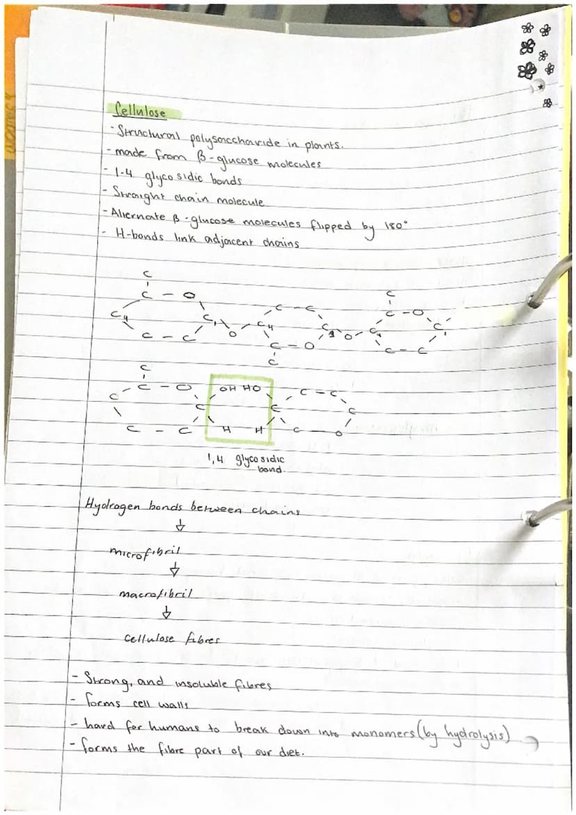 Carbohydrates
-Contain carbon, hydrogen and oxygen only
There are 3
Mono Saccharides.
- general formula of (CH₂0) n
- If n = 3₁ triose (glyc