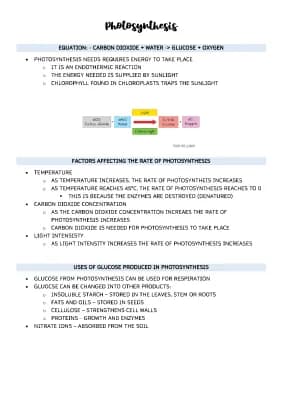 Know AQA GCSE Biology - Photosynthesis Notes thumbnail
