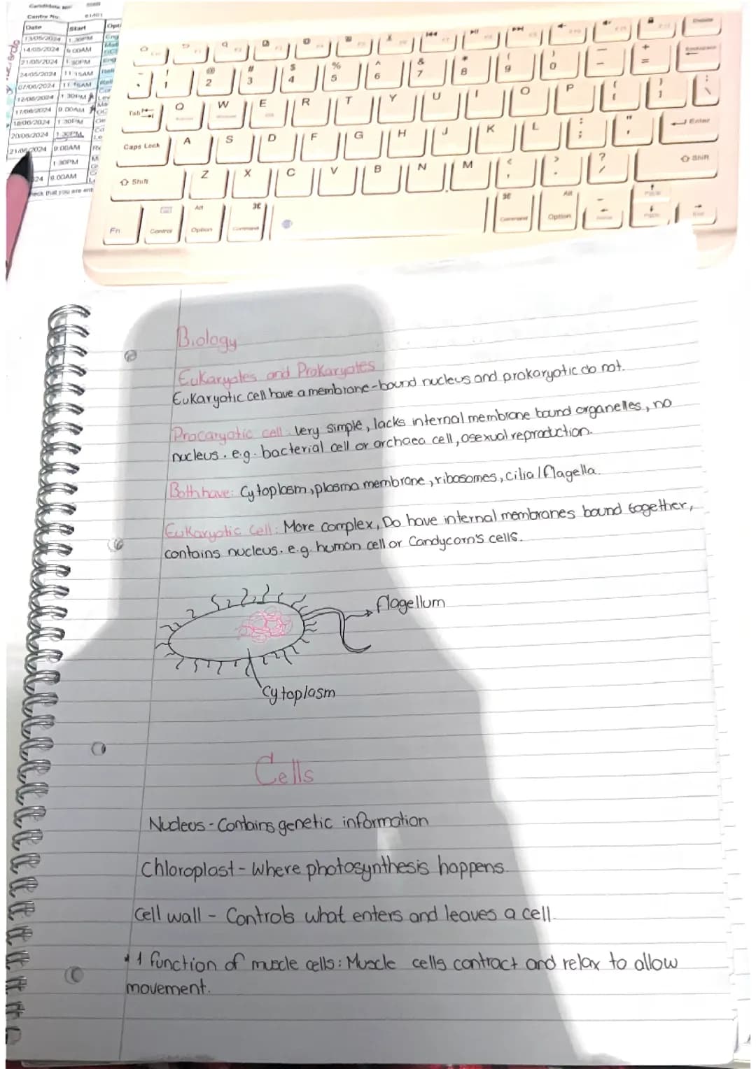 Biology revision year 10 (for Mocks)