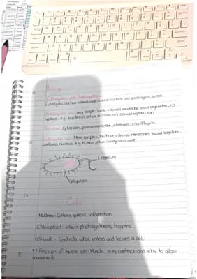 Know Biology revision year 10 (for Mocks) thumbnail