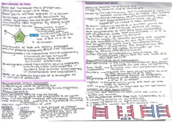 Know Higher biology Unit 1 summary notes thumbnail