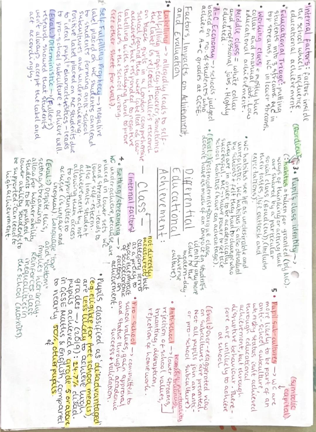 New Right: View of Education
• Similar beliefs to Functionalists.
Believe the state takes too much
of a role
Believe free market policies
wo