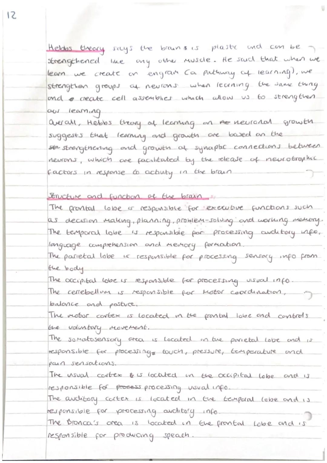 9
t
Brain and Neuropsychdogy:
structure and function of the nervous system:


peripheral
nervous system

Somatic

sympathetic
devision

nerv