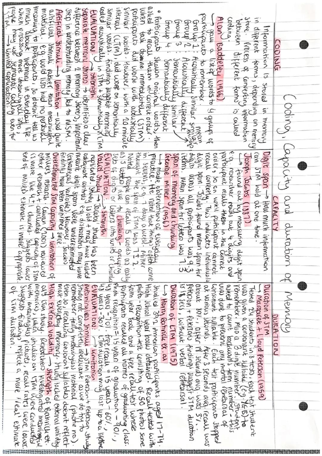 AQA Psychology Alevel Memory topic