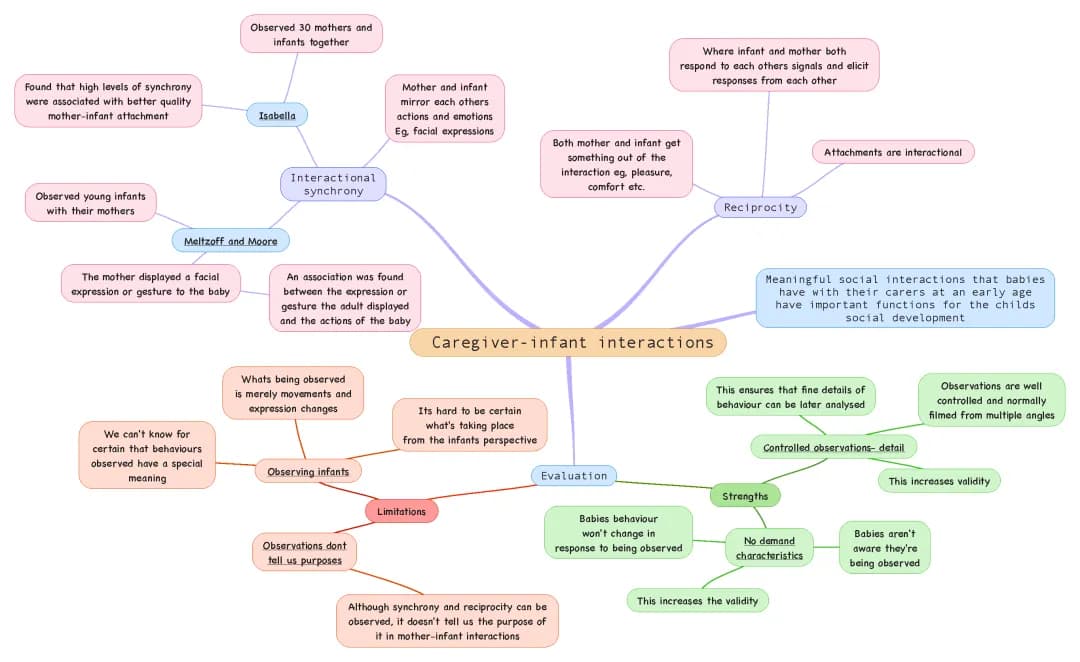 Caregiver- infant interactions