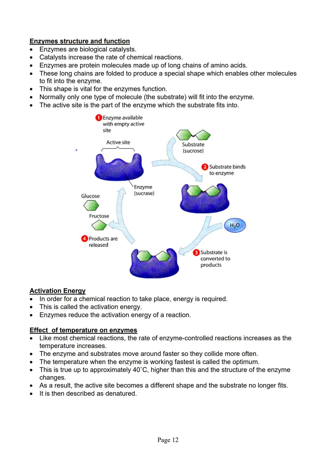 blogy
AQA
GCSE Biology
Paper 1
Summary Notes
Page 1 Summary
All living things are made up of cells. The structures of different types of cel