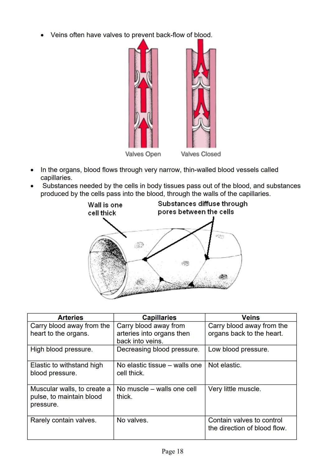 blogy
AQA
GCSE Biology
Paper 1
Summary Notes
Page 1 Summary
All living things are made up of cells. The structures of different types of cel