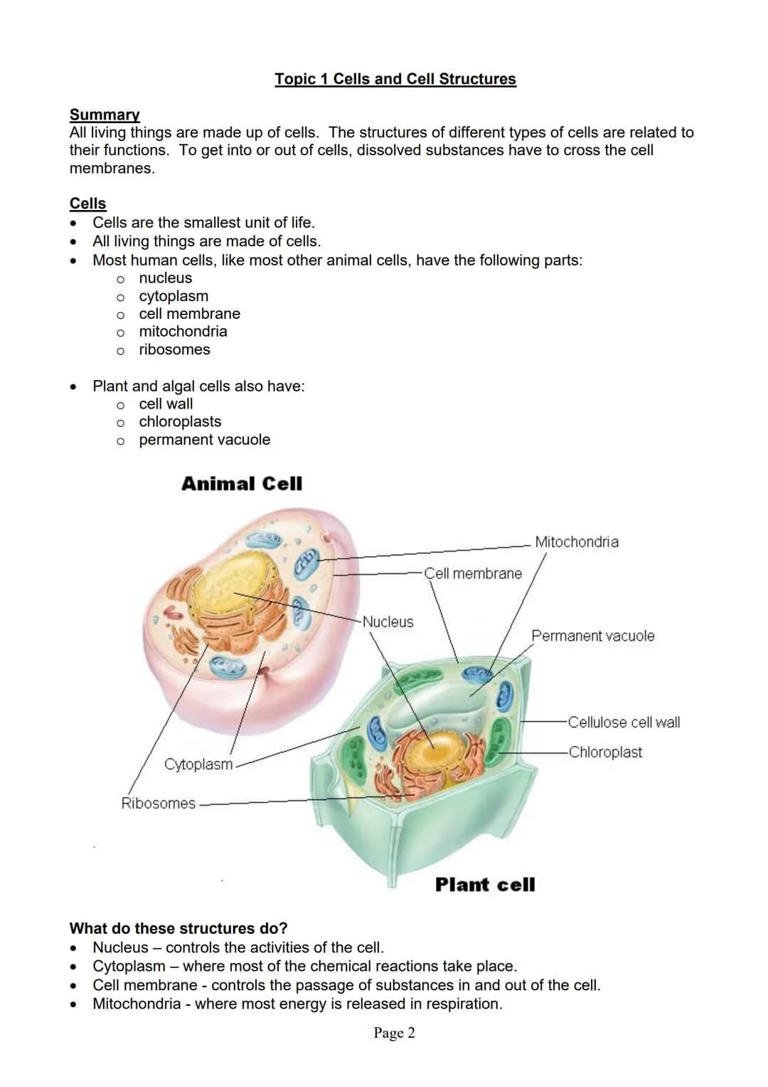 blogy
AQA
GCSE Biology
Paper 1
Summary Notes
Page 1 Summary
All living things are made up of cells. The structures of different types of cel