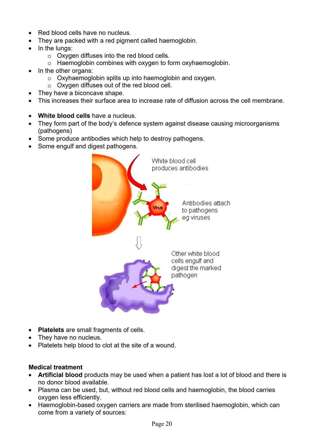 blogy
AQA
GCSE Biology
Paper 1
Summary Notes
Page 1 Summary
All living things are made up of cells. The structures of different types of cel