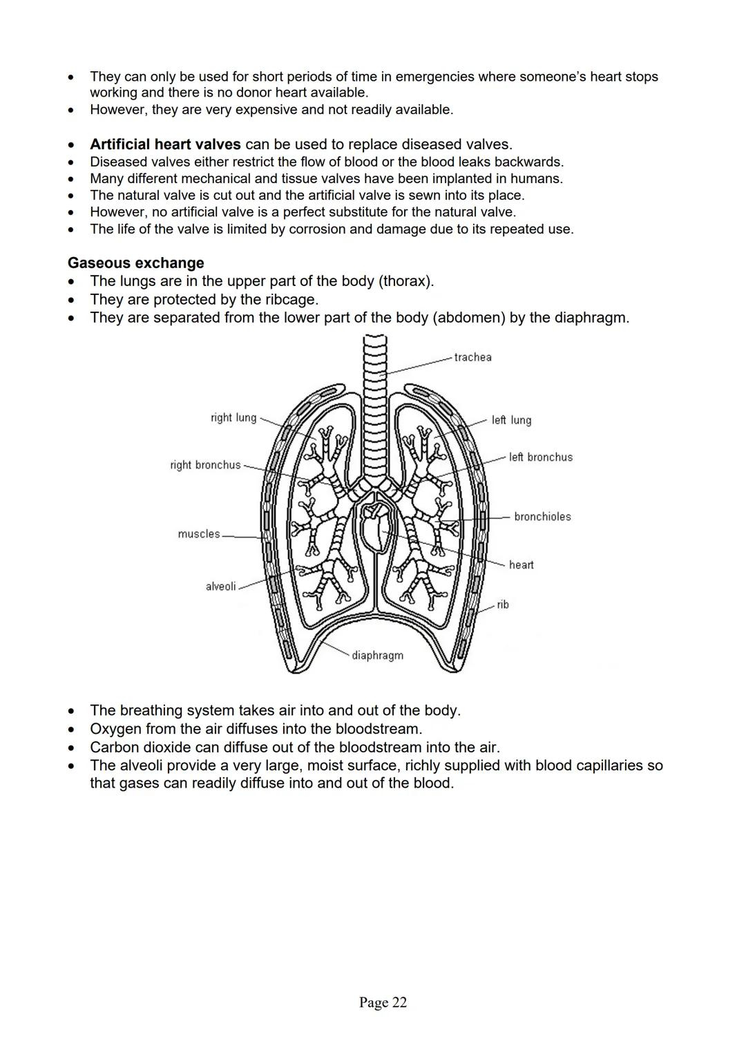 blogy
AQA
GCSE Biology
Paper 1
Summary Notes
Page 1 Summary
All living things are made up of cells. The structures of different types of cel