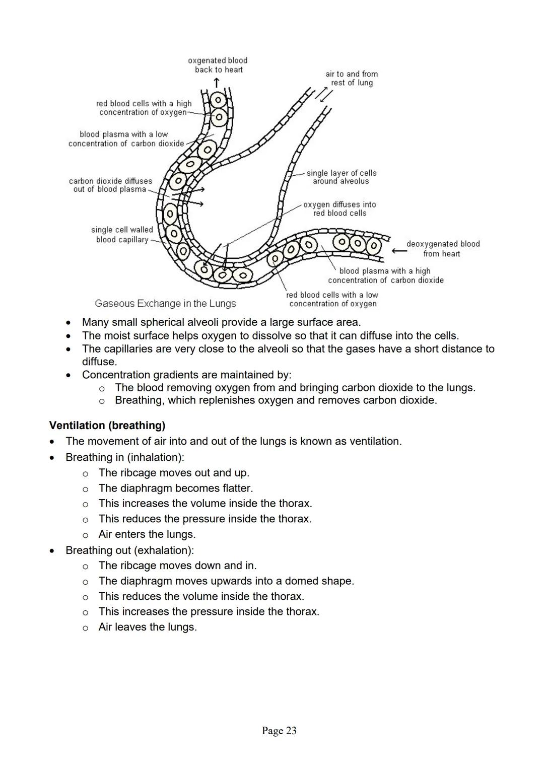 blogy
AQA
GCSE Biology
Paper 1
Summary Notes
Page 1 Summary
All living things are made up of cells. The structures of different types of cel