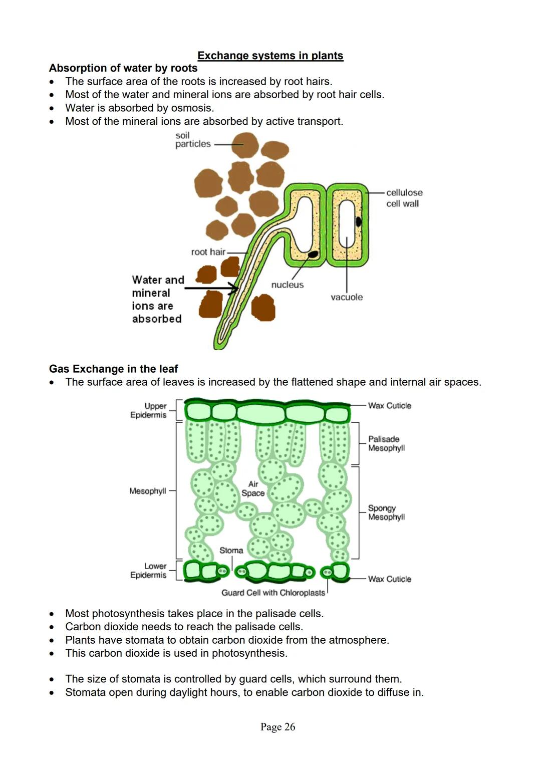 blogy
AQA
GCSE Biology
Paper 1
Summary Notes
Page 1 Summary
All living things are made up of cells. The structures of different types of cel