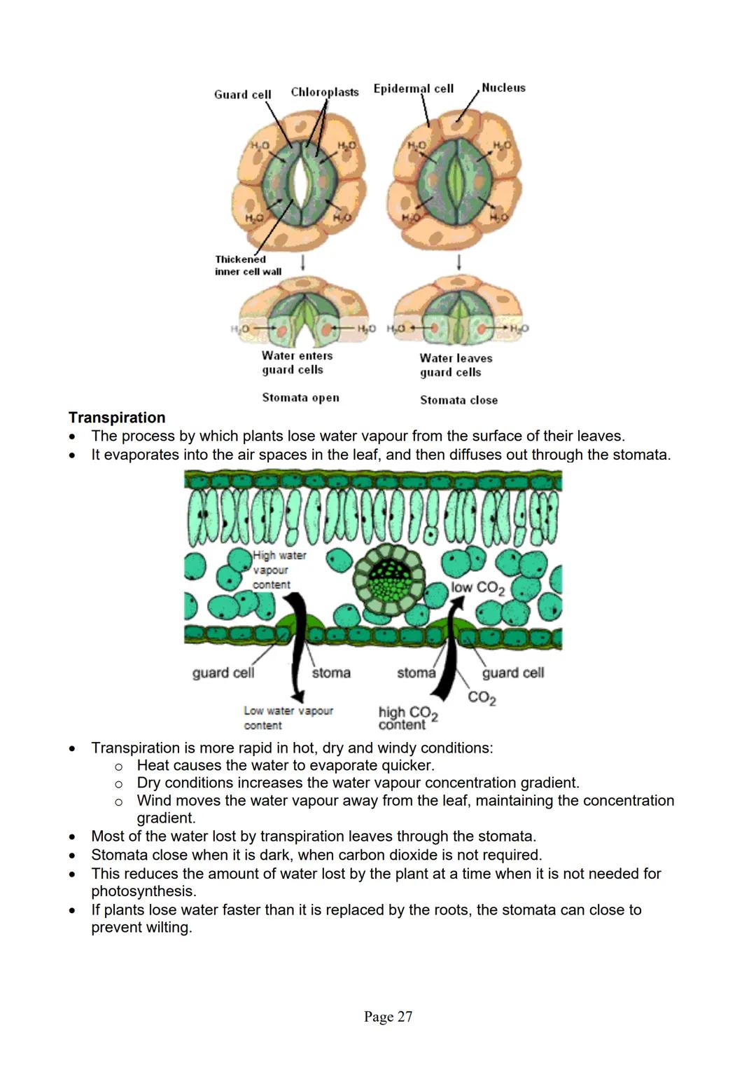 blogy
AQA
GCSE Biology
Paper 1
Summary Notes
Page 1 Summary
All living things are made up of cells. The structures of different types of cel