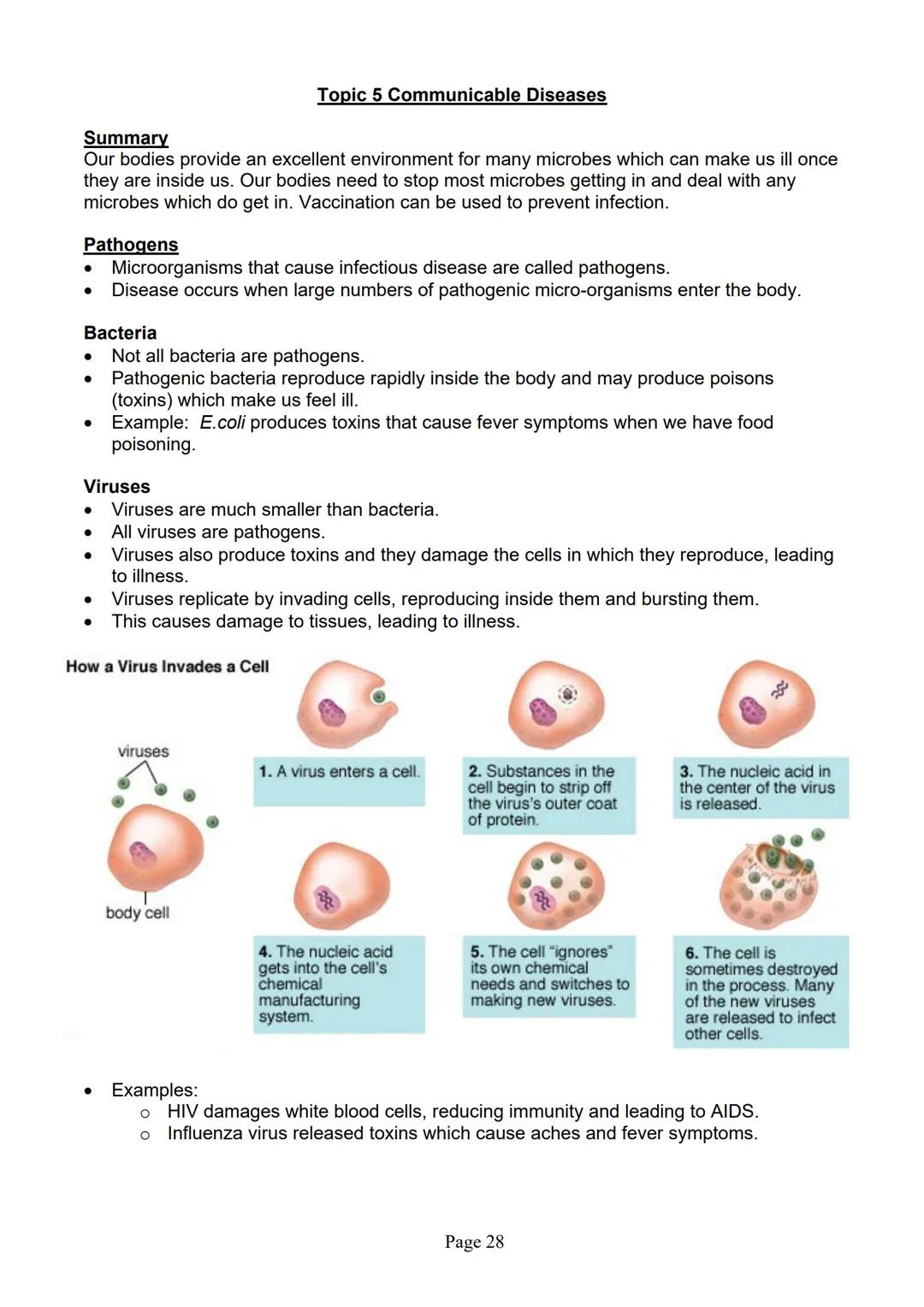 blogy
AQA
GCSE Biology
Paper 1
Summary Notes
Page 1 Summary
All living things are made up of cells. The structures of different types of cel