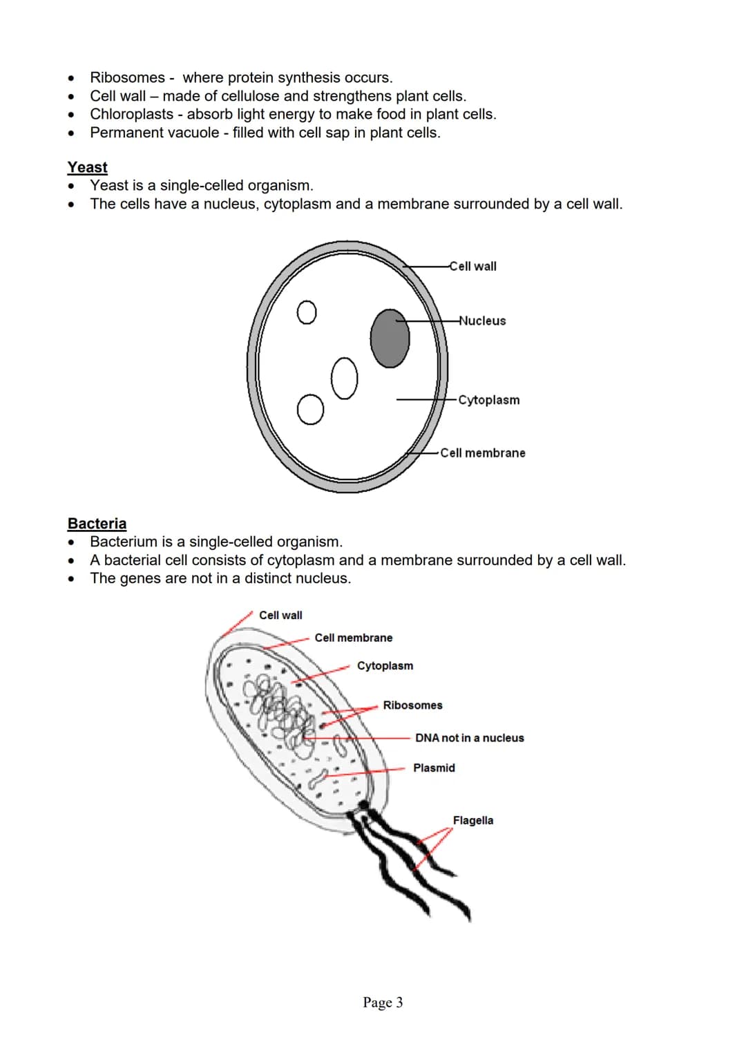 blogy
AQA
GCSE Biology
Paper 1
Summary Notes
Page 1 Summary
All living things are made up of cells. The structures of different types of cel