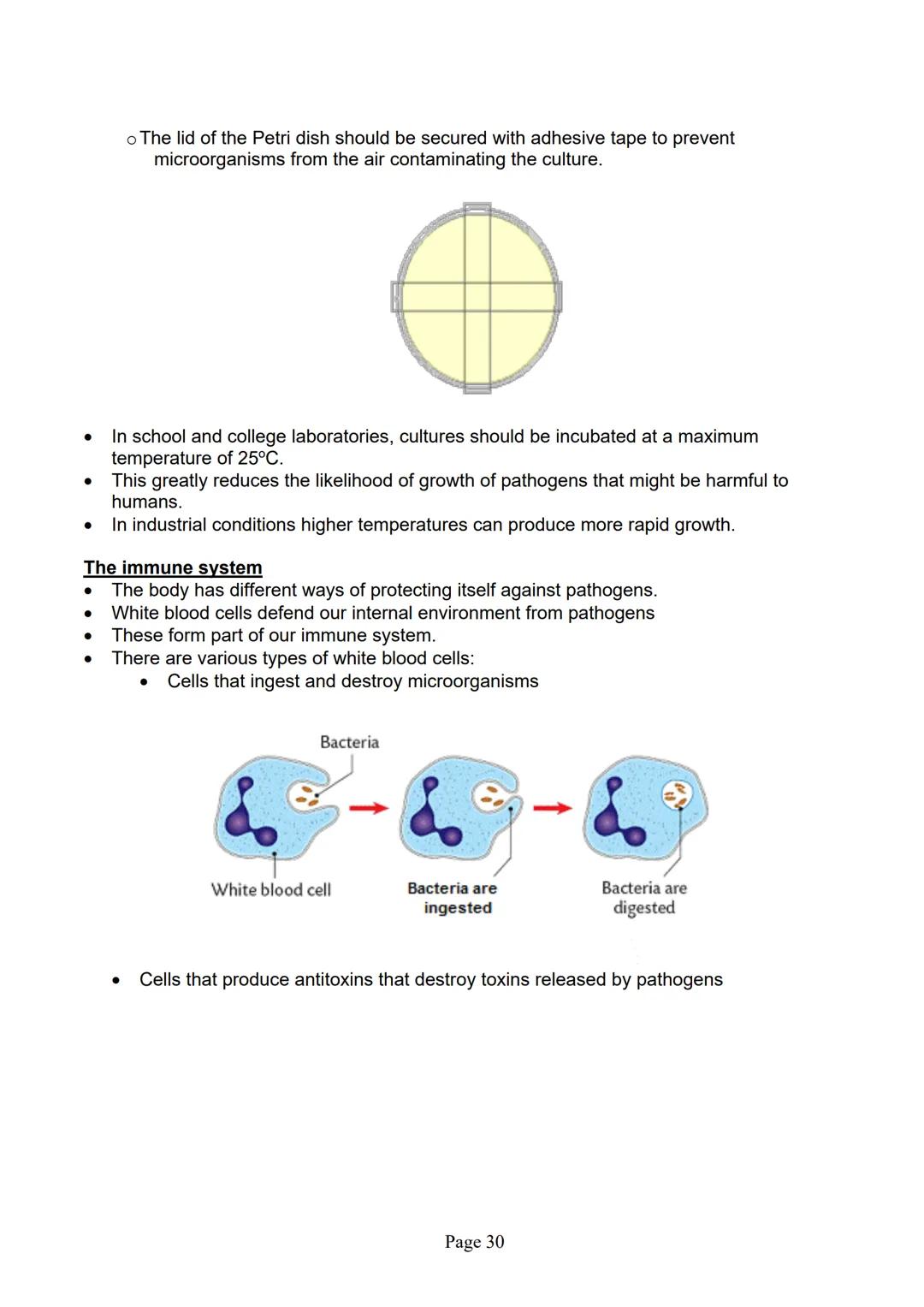 blogy
AQA
GCSE Biology
Paper 1
Summary Notes
Page 1 Summary
All living things are made up of cells. The structures of different types of cel