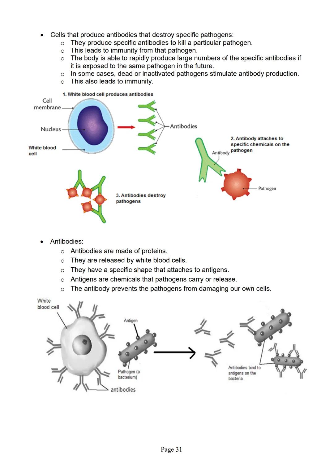 blogy
AQA
GCSE Biology
Paper 1
Summary Notes
Page 1 Summary
All living things are made up of cells. The structures of different types of cel