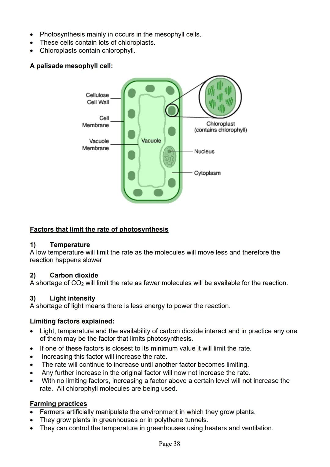 blogy
AQA
GCSE Biology
Paper 1
Summary Notes
Page 1 Summary
All living things are made up of cells. The structures of different types of cel