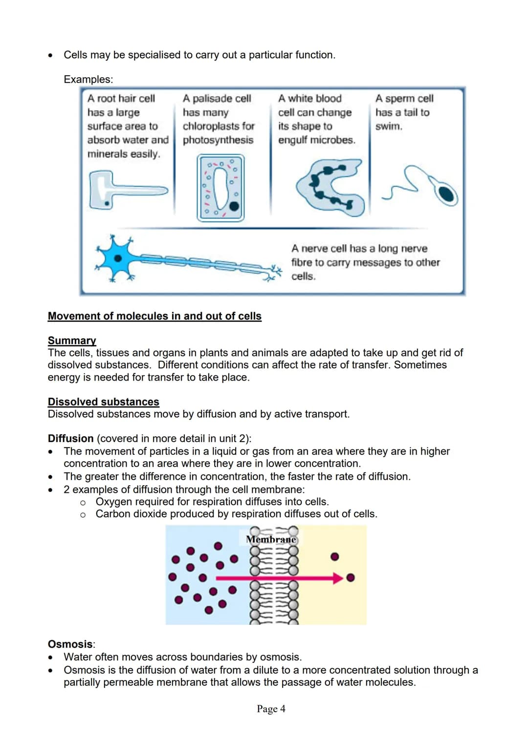 blogy
AQA
GCSE Biology
Paper 1
Summary Notes
Page 1 Summary
All living things are made up of cells. The structures of different types of cel