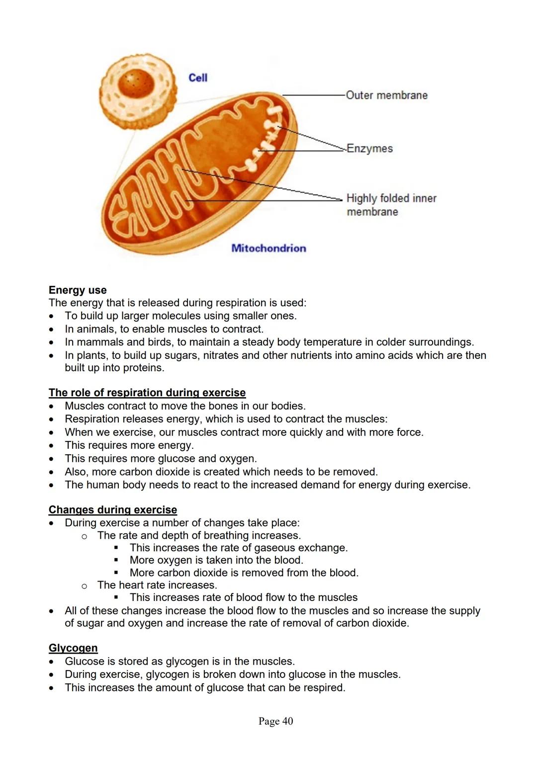 blogy
AQA
GCSE Biology
Paper 1
Summary Notes
Page 1 Summary
All living things are made up of cells. The structures of different types of cel