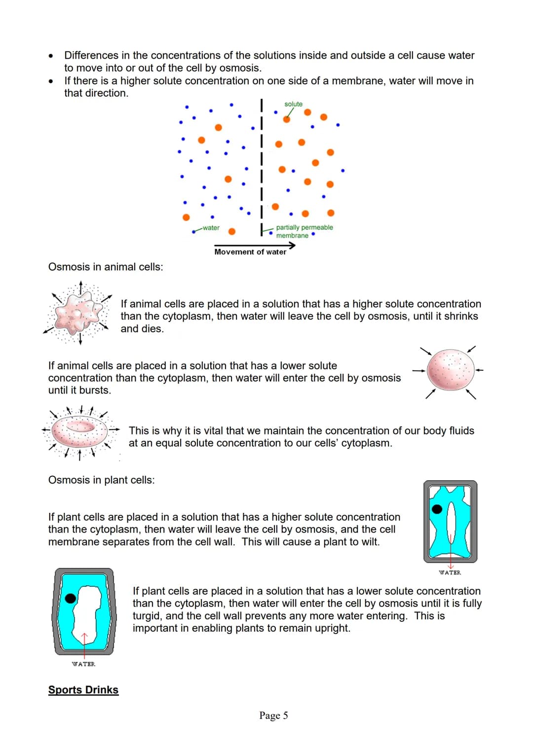 blogy
AQA
GCSE Biology
Paper 1
Summary Notes
Page 1 Summary
All living things are made up of cells. The structures of different types of cel