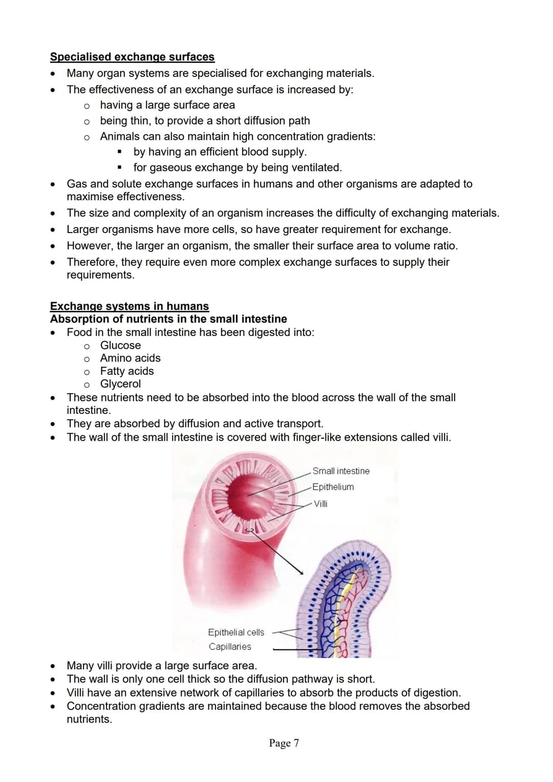 blogy
AQA
GCSE Biology
Paper 1
Summary Notes
Page 1 Summary
All living things are made up of cells. The structures of different types of cel