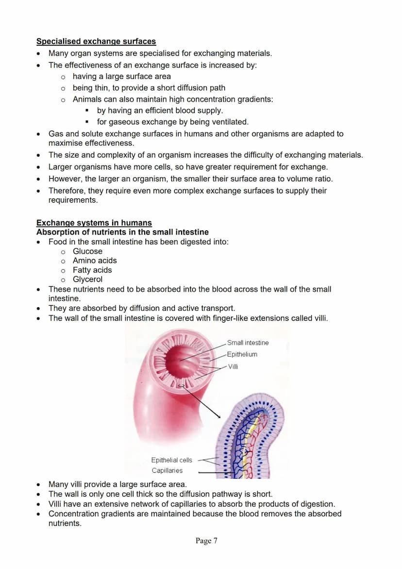 blogy
AQA
GCSE Biology
Paper 1
Summary Notes
Page 1 Summary
All living things are made up of cells. The structures of different types of cel