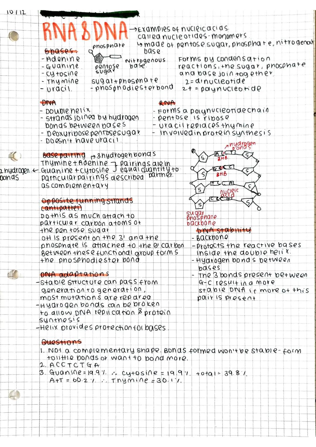 10/12
RNA & DNA
6bases
-Adenine
-Guanine
-cy tosine
-Thymine
- gracil.
phosphate ↳made of pentose sugar, phosphate, nitrogenous
base
pentose