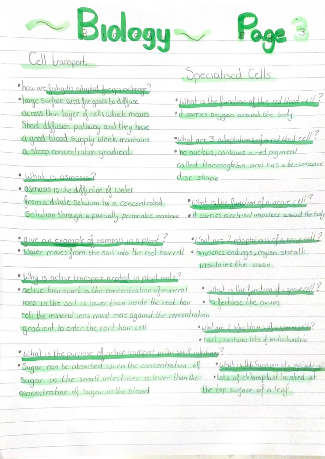 ●
-Biology~~ Page
●
Cell's and Functions
Where are Proteins made?
in the Ribosomes
Where in the cell are chromosomes Located?
• in the nucle