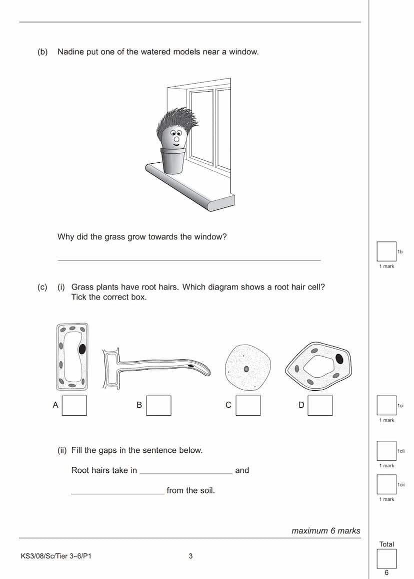 Sc
KEY STAGE
3
TIER
3-6
2008
Science test
Paper 1
First name
Last name
School
Remember
■
■ Try to answer all of the questions.
The number of