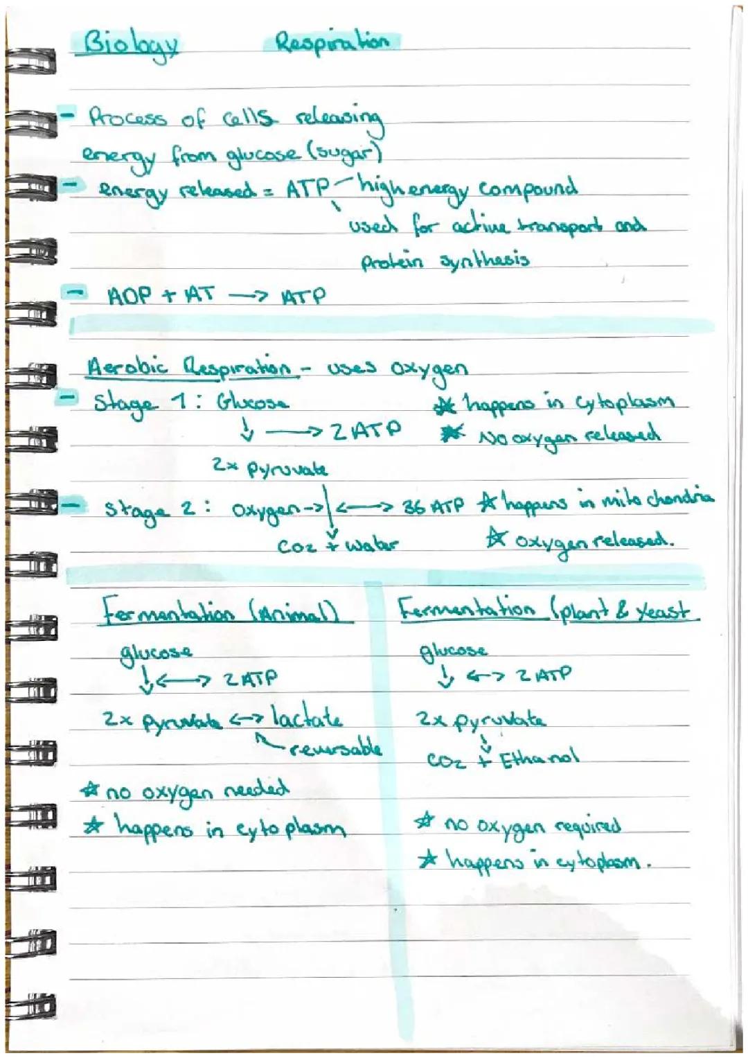 Fun with Plant Respiration and Cool Genetic Engineering!