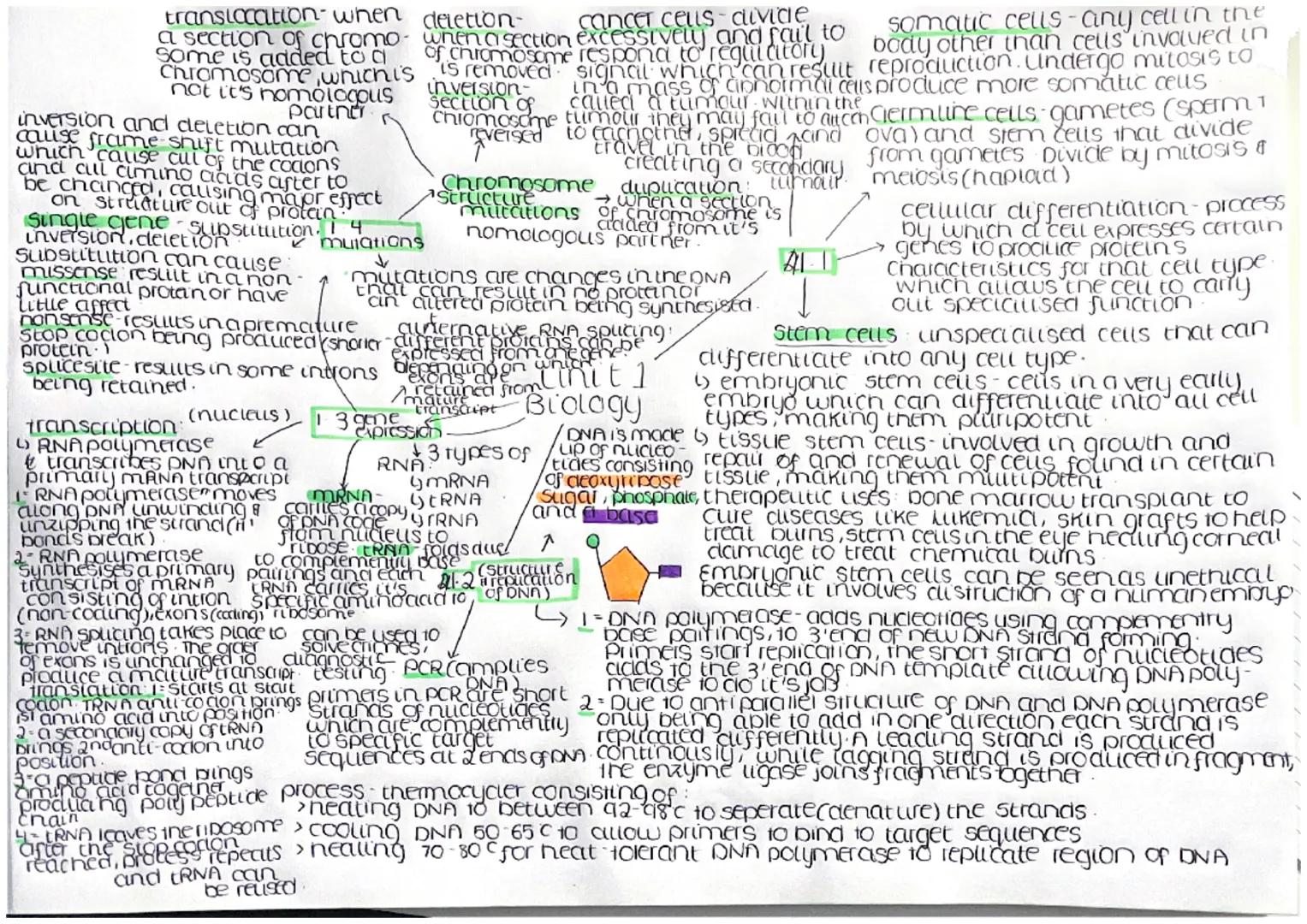 somatic cells-any cell in the
body other than cells involved in
reproduction. Undergo mitosis to
produce more somatic caus
Cermine cells-gam