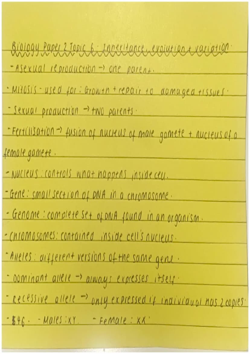 Biology Paper 2 Topic 7 - Ecology
-- ecosystem - living organisms in a particular area.
-->
community - all organisms that live in a nabitat