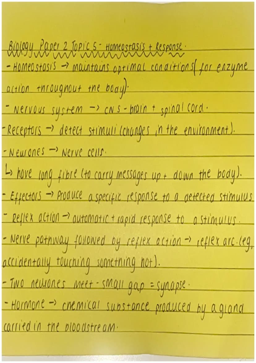 Biology Paper 2 Topic 7 - Ecology
-- ecosystem - living organisms in a particular area.
-->
community - all organisms that live in a nabitat