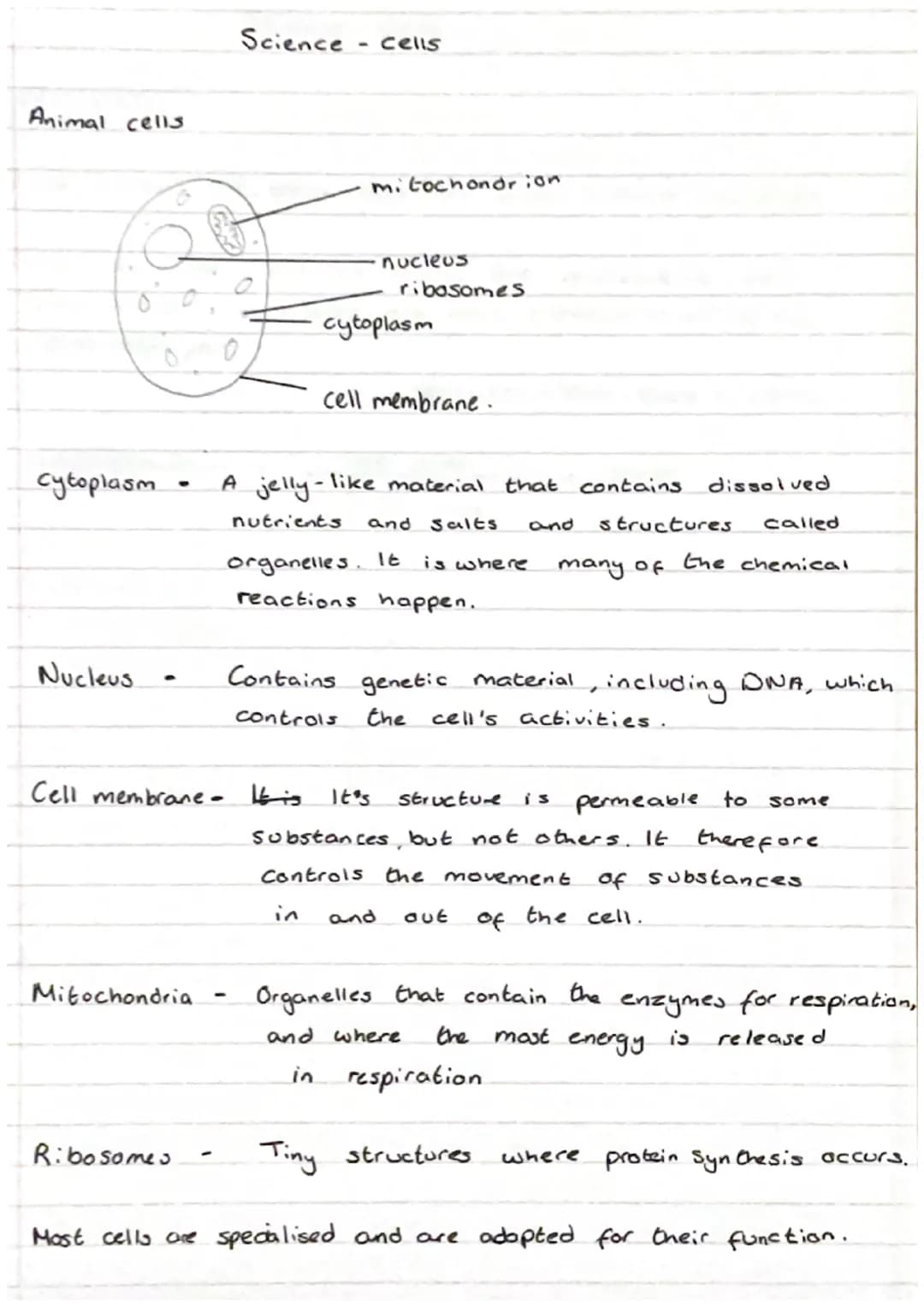 Science Cells
Eukaryotes and Prokaryotes
8
Eukaryotic cell
5 Mm - 100 μm
cell membrane
-
cytoplasm, sett mitochondria
Pro Karyotic cell
and 