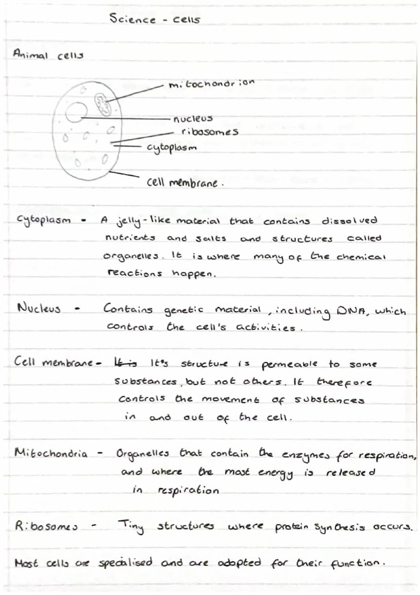 Science Cells
Eukaryotes and Prokaryotes
8
Eukaryotic cell
5 Mm - 100 μm
cell membrane
-
cytoplasm, sett mitochondria
Pro Karyotic cell
and 