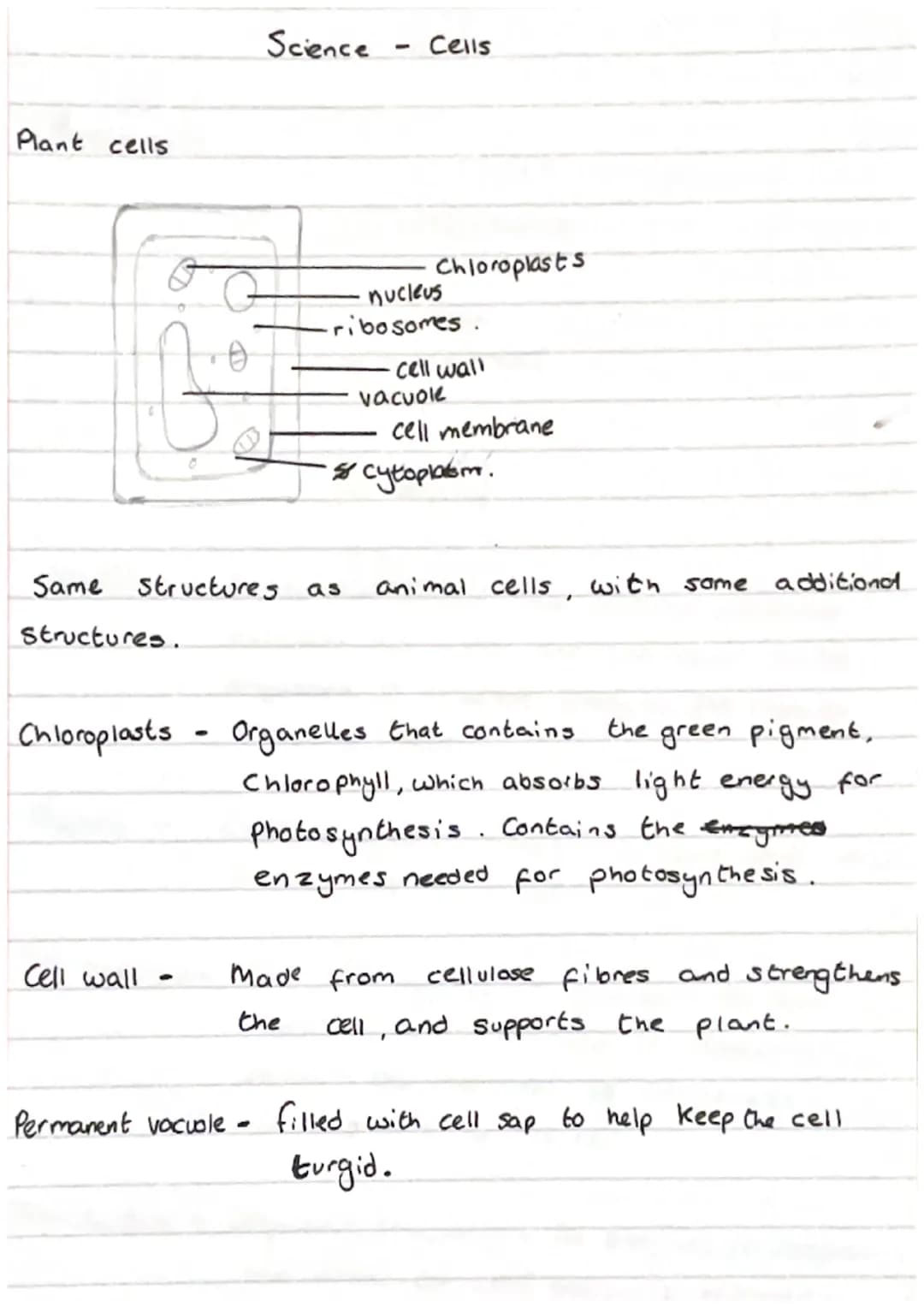 Science Cells
Eukaryotes and Prokaryotes
8
Eukaryotic cell
5 Mm - 100 μm
cell membrane
-
cytoplasm, sett mitochondria
Pro Karyotic cell
and 