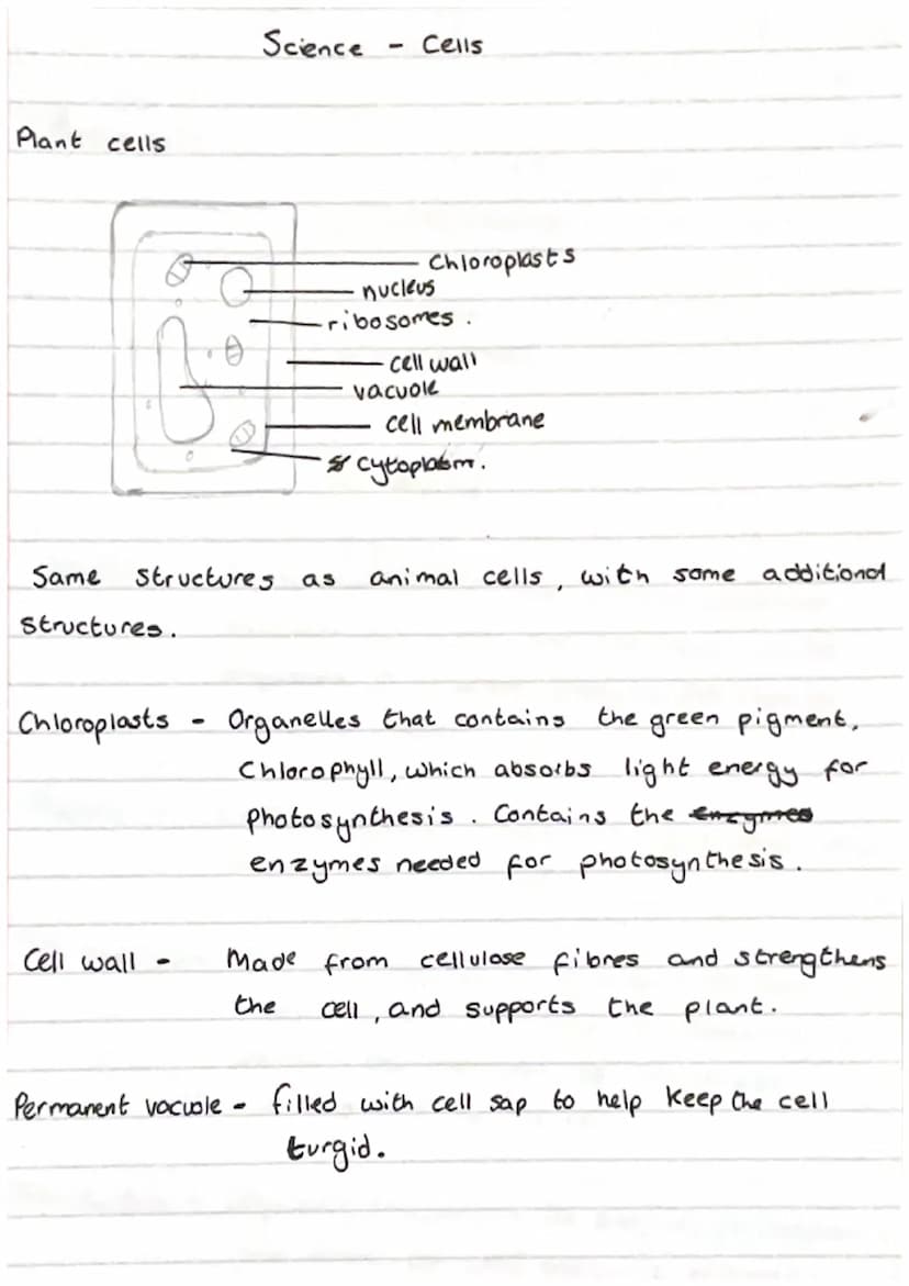 Science Cells
Eukaryotes and Prokaryotes
8
Eukaryotic cell
5 Mm - 100 μm
cell membrane
-
cytoplasm, sett mitochondria
Pro Karyotic cell
and 