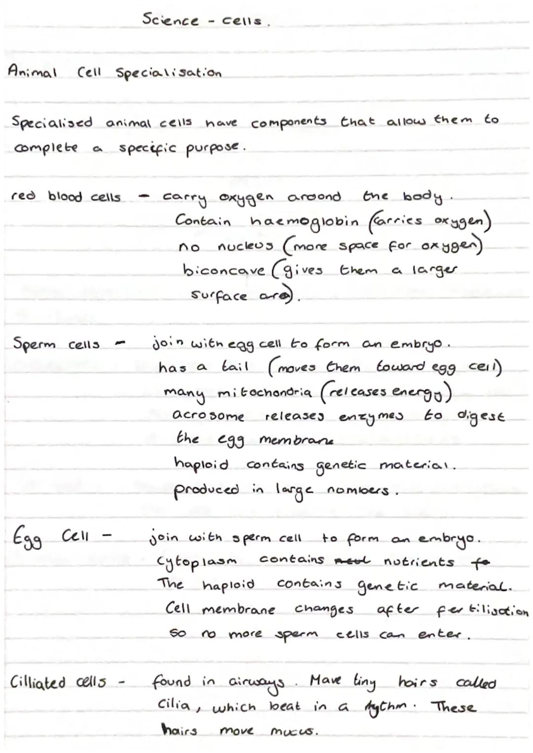 Science Cells
Eukaryotes and Prokaryotes
8
Eukaryotic cell
5 Mm - 100 μm
cell membrane
-
cytoplasm, sett mitochondria
Pro Karyotic cell
and 