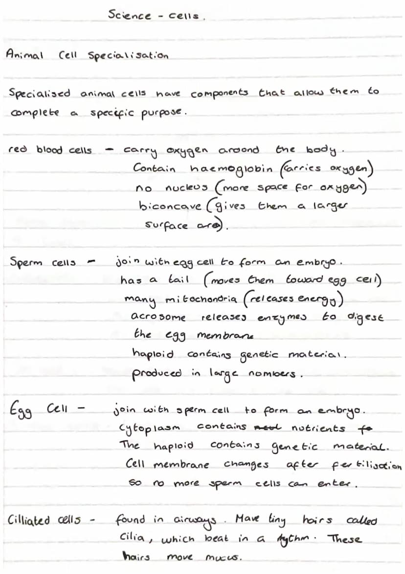 Science Cells
Eukaryotes and Prokaryotes
8
Eukaryotic cell
5 Mm - 100 μm
cell membrane
-
cytoplasm, sett mitochondria
Pro Karyotic cell
and 