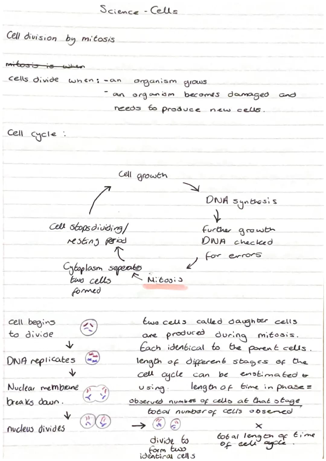 Science Cells
Eukaryotes and Prokaryotes
8
Eukaryotic cell
5 Mm - 100 μm
cell membrane
-
cytoplasm, sett mitochondria
Pro Karyotic cell
and 