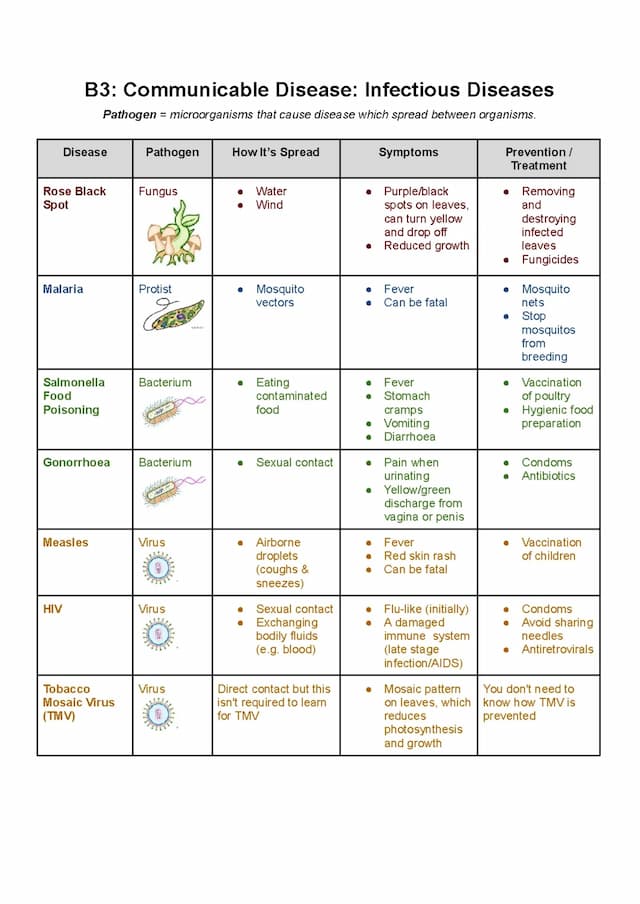 Know B3 - Communicable Disease: Infectious Diseases  thumbnail