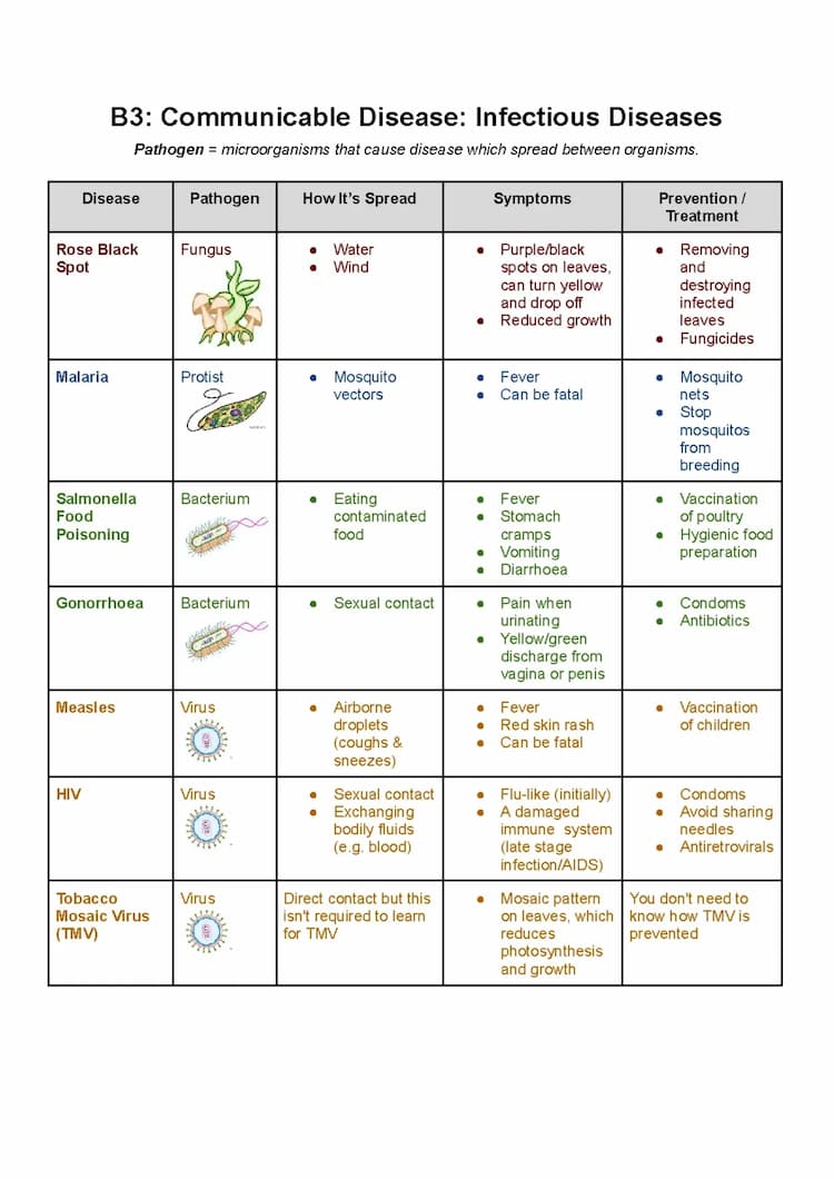 Know B3 - Communicable Disease: Infectious Diseases  thumbnail