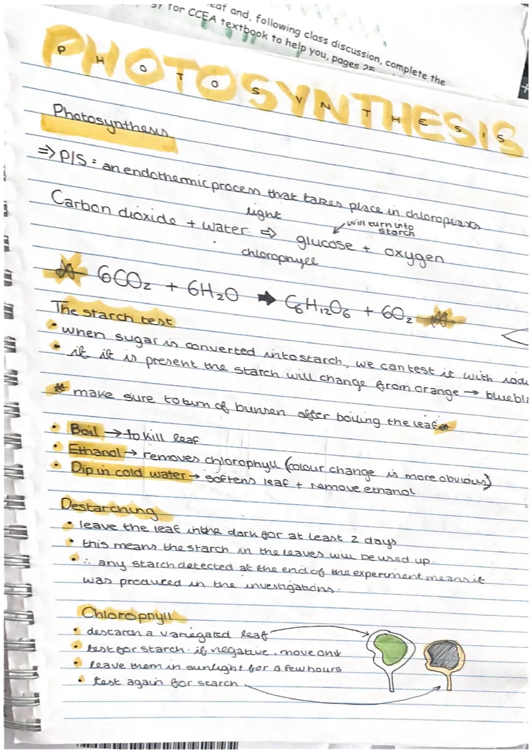 tables ben
* oxygen no
Leaf Structure and Photosyn....
In most plants the process of photosynthesis takes place in the leaves. Leaves come i
