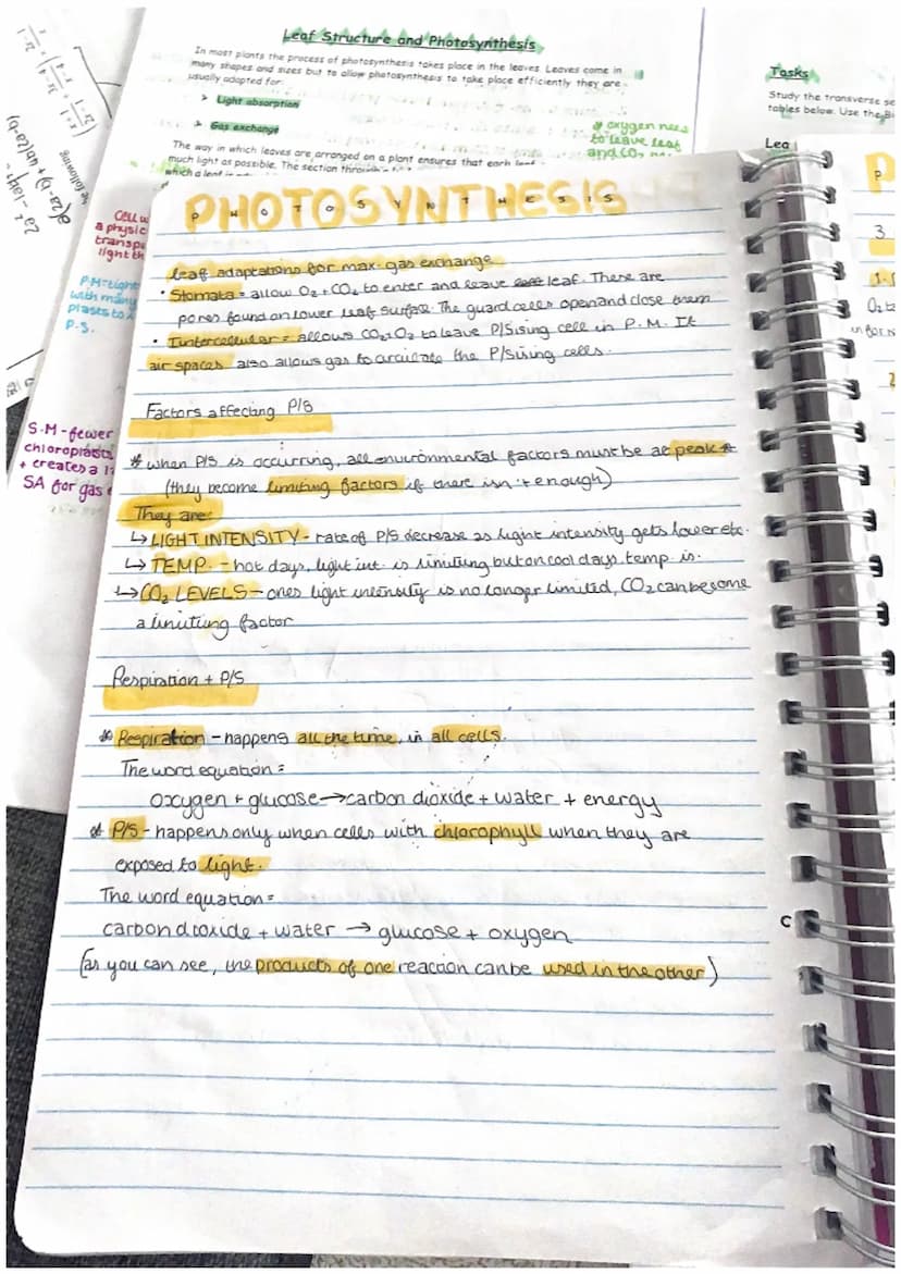 tables ben
* oxygen no
Leaf Structure and Photosyn....
In most plants the process of photosynthesis takes place in the leaves. Leaves come i